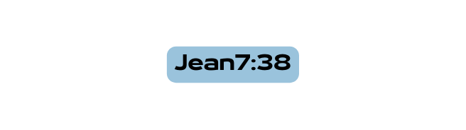 Jean7 38